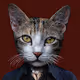 CinemaCat