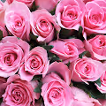 TakeoFlower