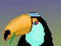 Weird Toucan