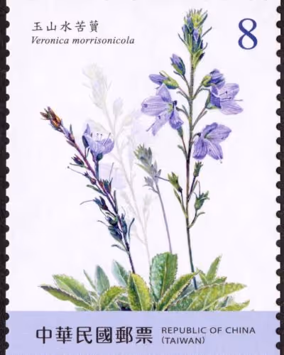 stamp collection