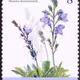 stamp collection