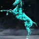 Poly Horses