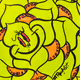 RoughCut Roses