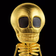 Skeleton Amulet Premium