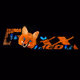 Foxx-F-T