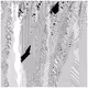cellular automata 77