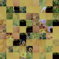 0xDigitalGold