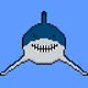 Front Facing Sharks