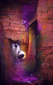 Side Series NFTs From The Husky Project
