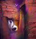 Side Series NFTs From The Husky Project