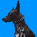 Slick The Xolo