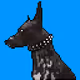 Slick The Xolo