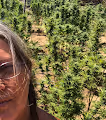 Grandma's Garden