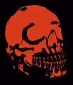 My Favorite Skull