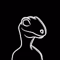Raptor Verse Collection