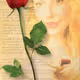 Muses Dreams and Love