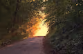 Midwestern Nature