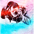 edrozl