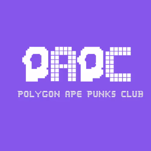 Polygon Ape Punks Club Exclusives