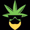 MrTree42o42o OnChain