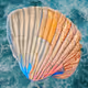 Shellie's Shell Shop