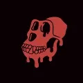 Bored Ape Club(Modified Collection)
