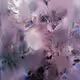 Arts Collection (Polygon Blockchain)