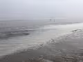 Seattle_2020