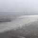 Seattle_2020