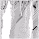 cellular automata 98