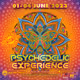 Psychedelic Experience Festival 2023