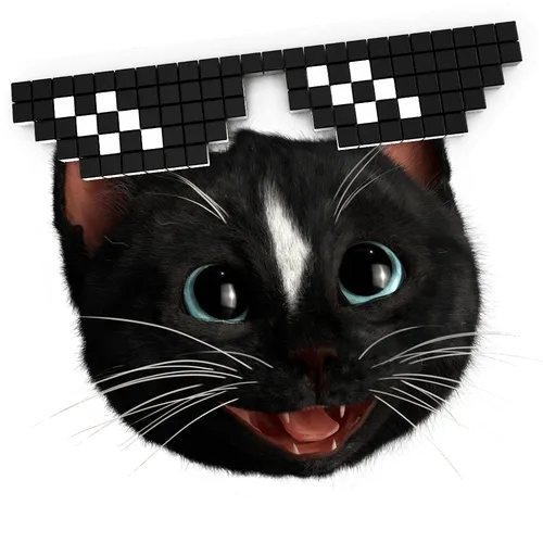 Felini's Favorte Kitty Cat Stickers
