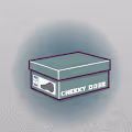 CDcollection sneakers
