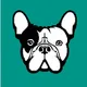 pessimistic dog nft