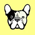 pessimistic dog nft