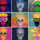 CryptoSkullzNFT