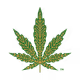 HD Crypto Budz