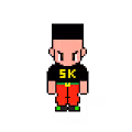 SK pixel drip collection