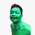 Dustin Camouflage Chameleon
