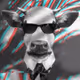 CashCow OG Collection