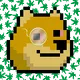 Crypto Doge Punks