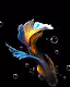 Painting fish collection