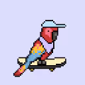 Parrot Skate Punks