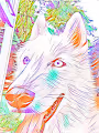The pictures Dogs