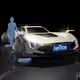 MetaVerse Whips RACE READY