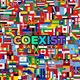 8-Bit Flags