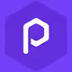 PolygonPunk