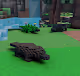 Platypus Paradise