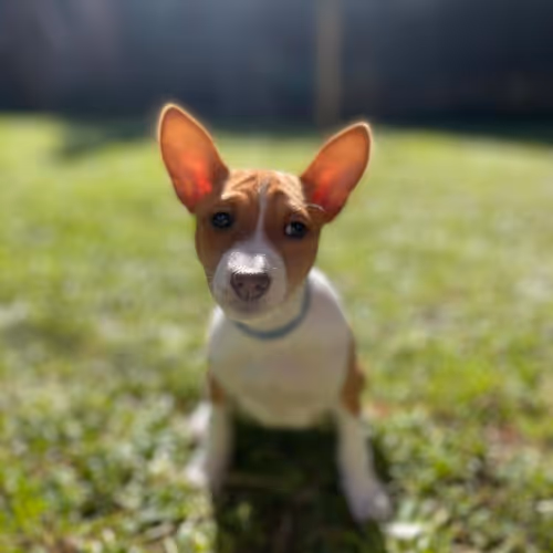 BB's Pictures