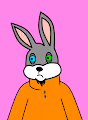 Random-Rabbit